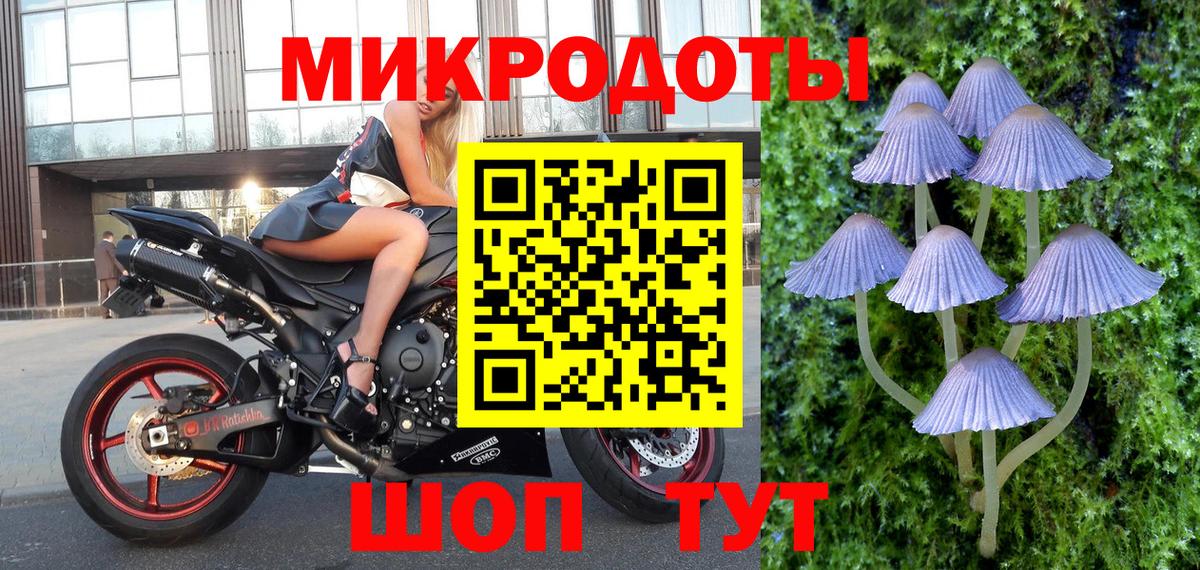 Орёл  Псилоцибиновые грибы GOLDEN TEACHER  Вход с VPN 