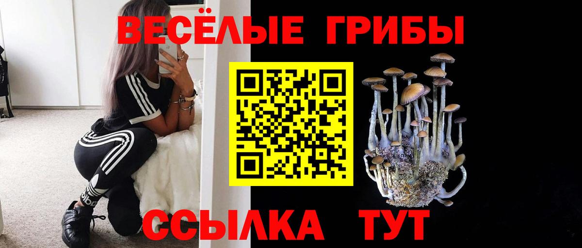 Псилоцибиновые грибы прущие грибы Орёл
