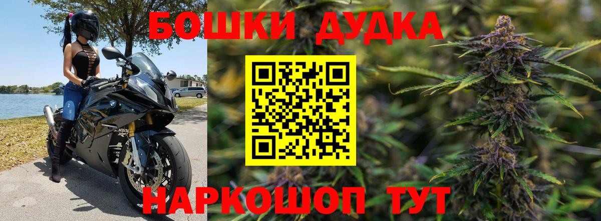 Каннабис планчик Орёл